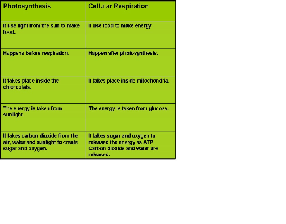 photosynthesis vs cellular respiration chart